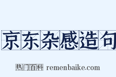 京东杂感造句是什么意思的图片